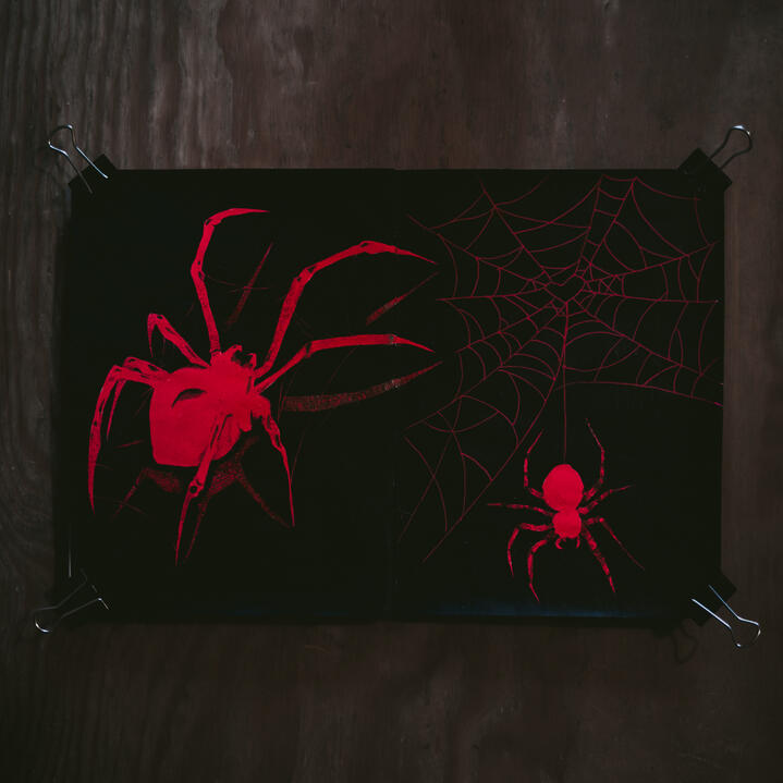 Spiders